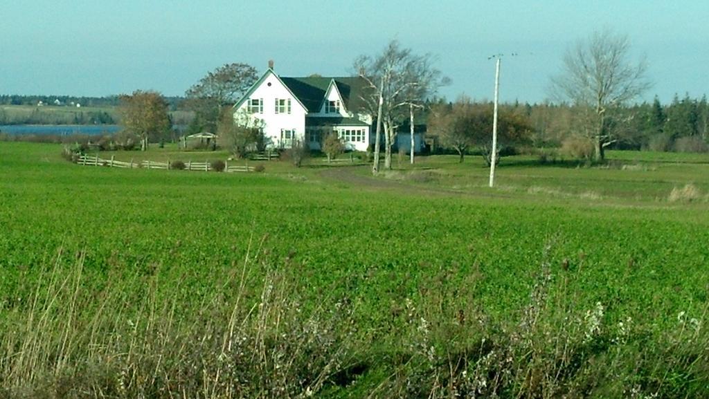 Lovely Green Gable Home Miscouche Esterno foto