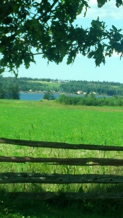Lovely Green Gable Home Miscouche Esterno foto